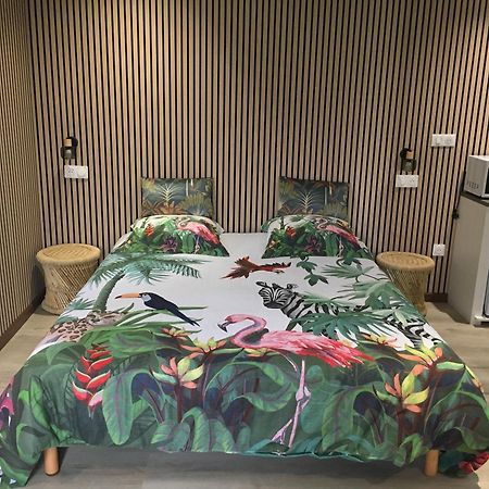 萨拉济Ti Kaz Hoareau住宿加早餐旅馆 外观 照片